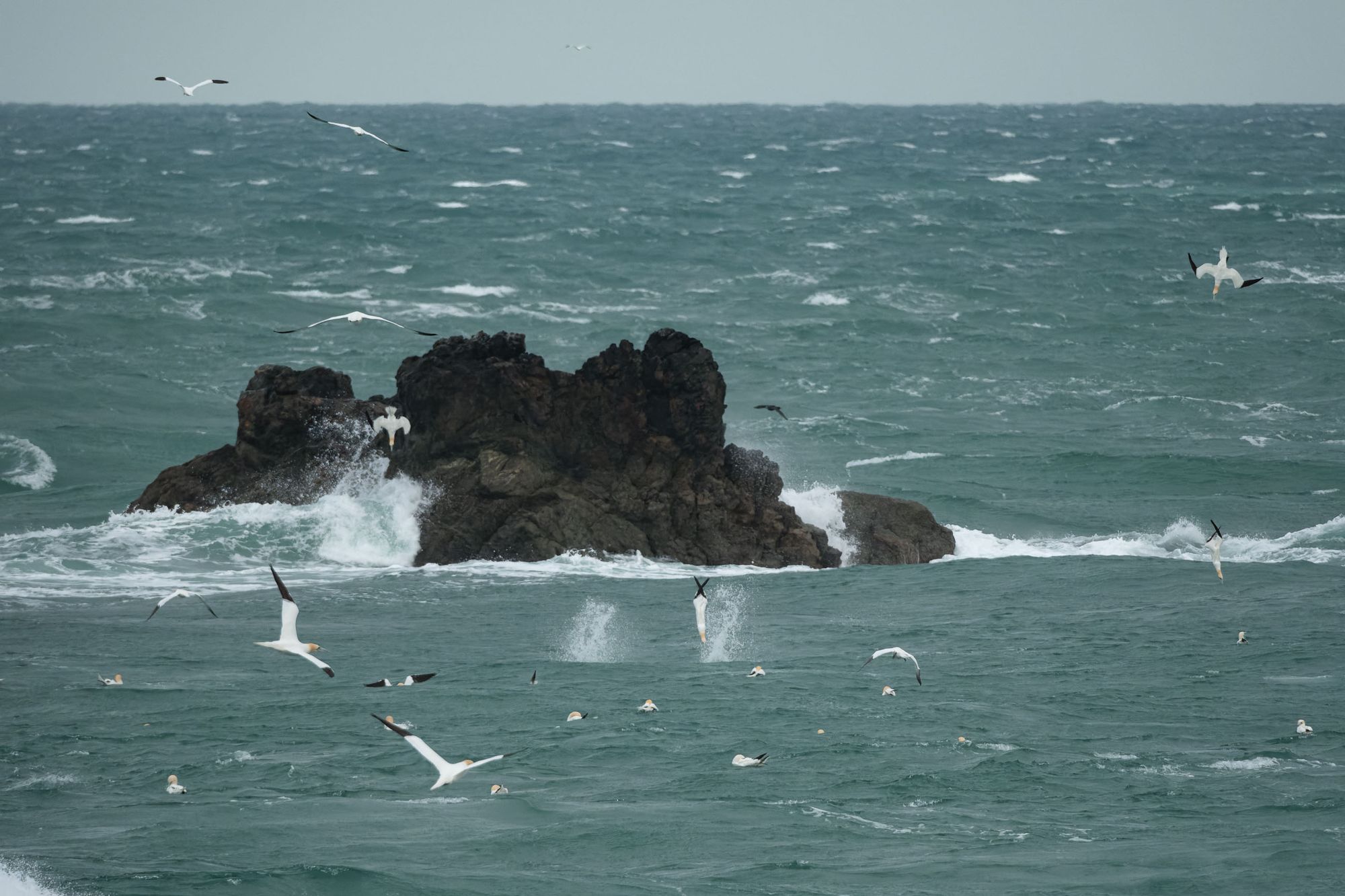 pointe de jardeheu