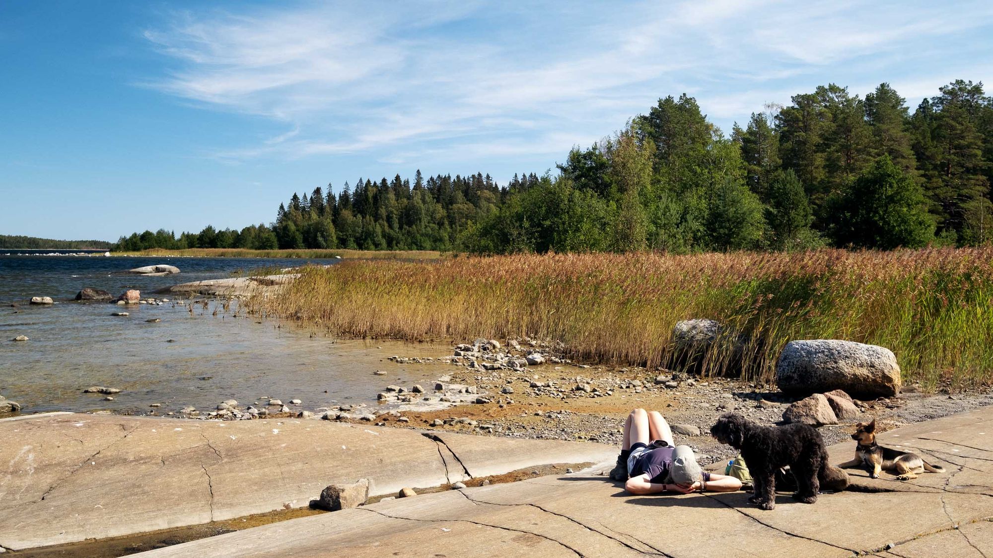Skuleskogen