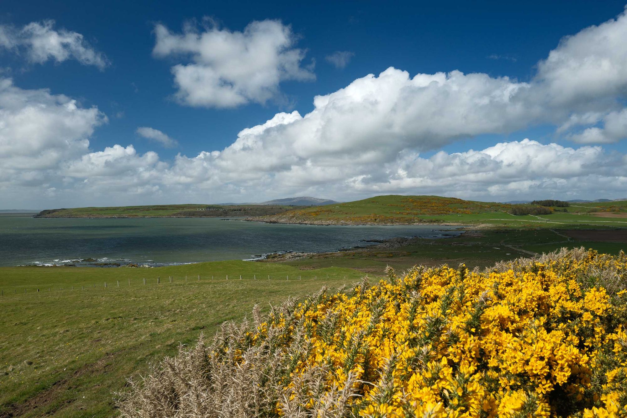 Solway Bay