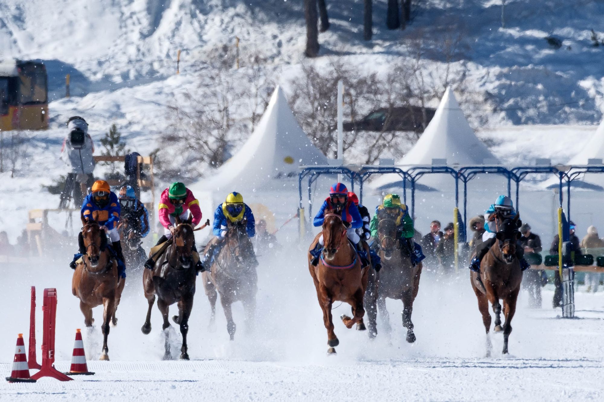 White Turf