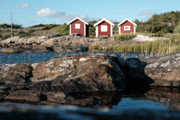 Björko