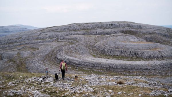 Burren