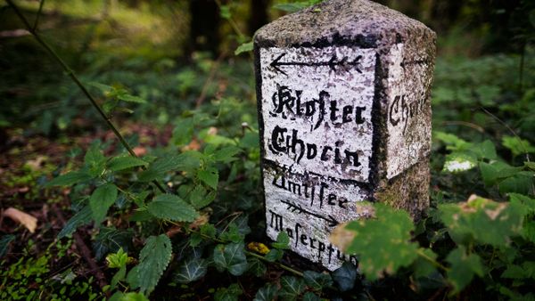 Rosin, Brodowin und Chorin