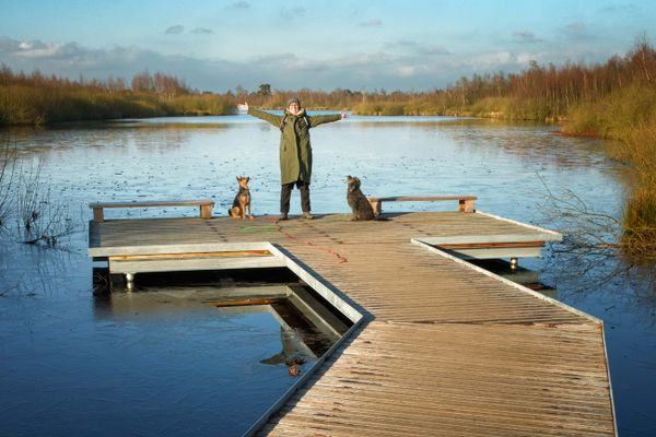 De Groote Peel