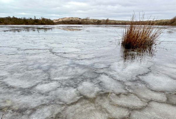 Eisdünen