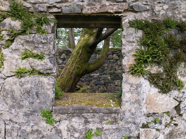 Glentrool