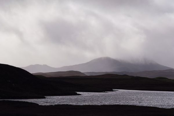 Harris im Schniesel