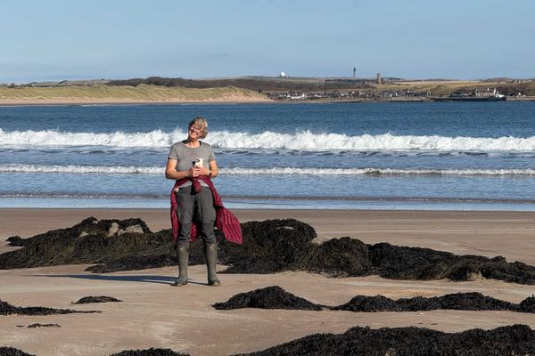 Cruden Bay III
