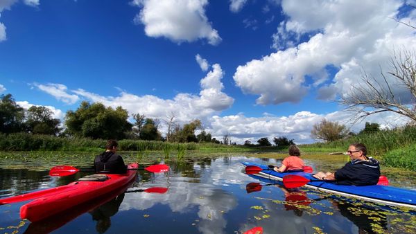 Durch die Polder