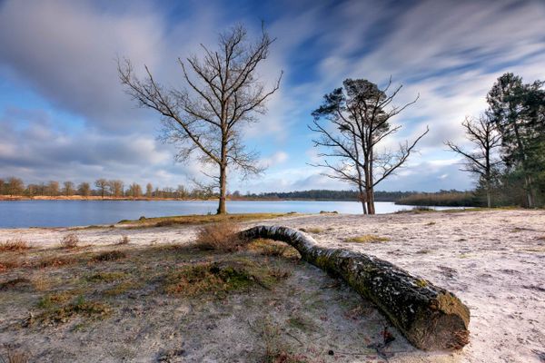 Kampina