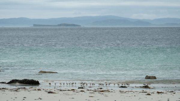 Nordstrand Iona