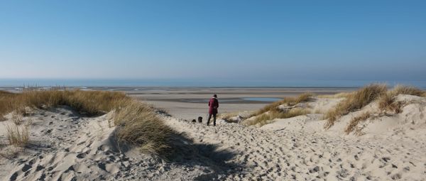 Baie d'Authie