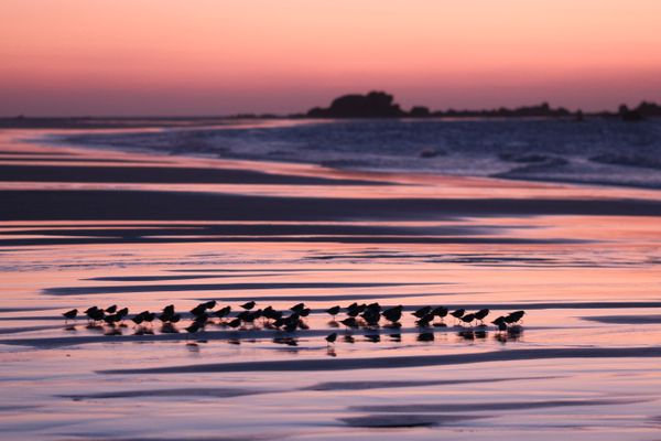 Plage des Amiets