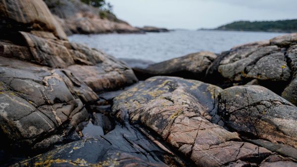 Insel mit Gestrüpp