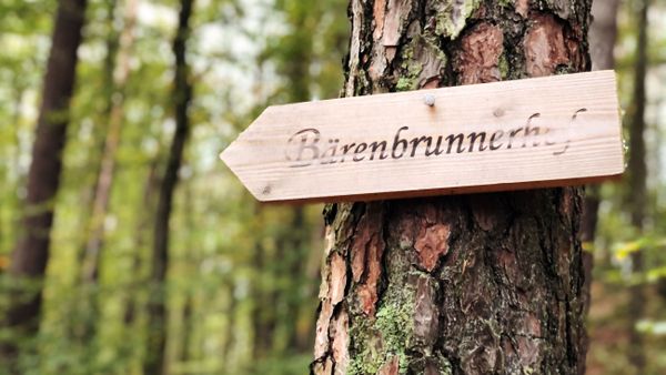 Schild