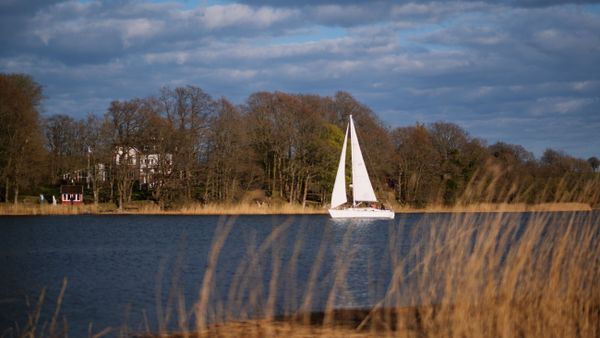 Abendstimmung Schlei