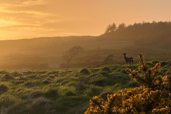 Solway Bay