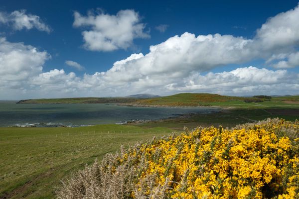 Solway Bay