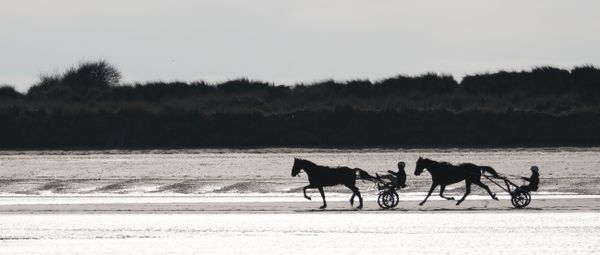 Utah Beach