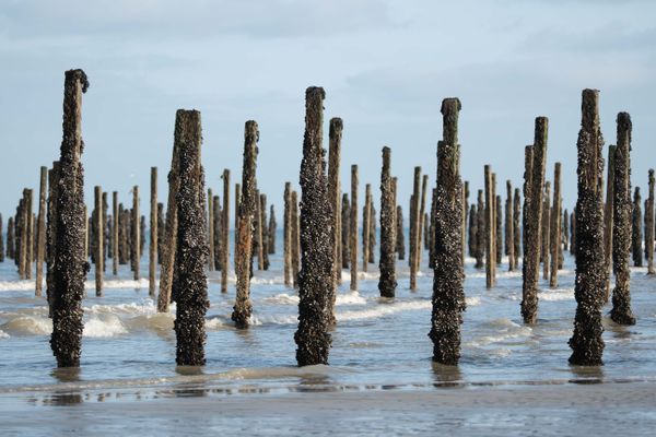 Utah Beach