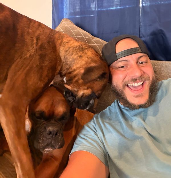 7 Reasons You Should NOT Get a Boxer Dog