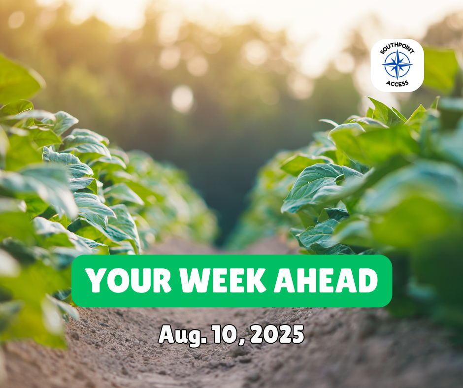 📅 Your Week Ahead in Durham: Aug. 11–16, 2025