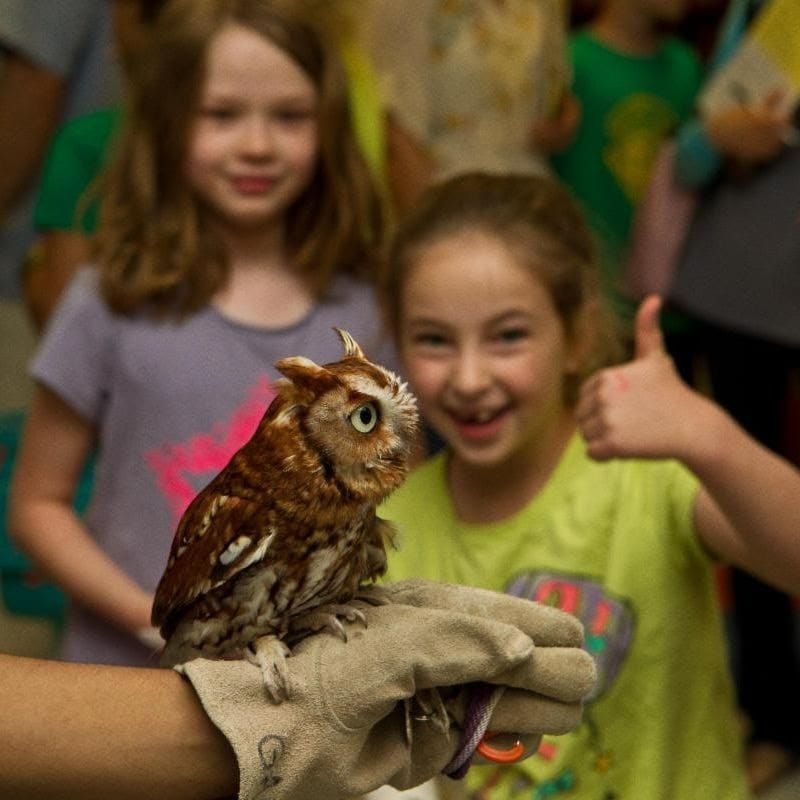 SoDu Morning Brief: Stormy Skies, Election Updates & Wildlife Center Appeal