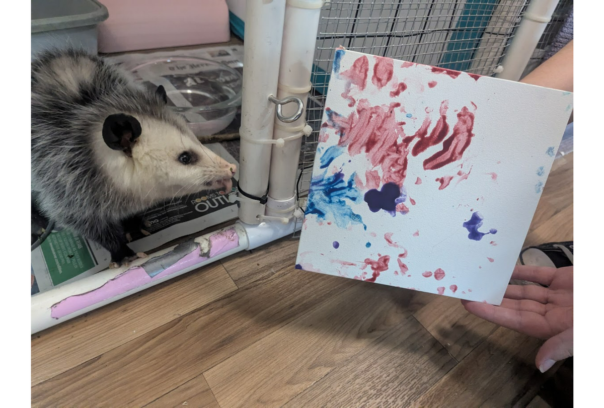 End Drawing Near for Wildlife Center Auction