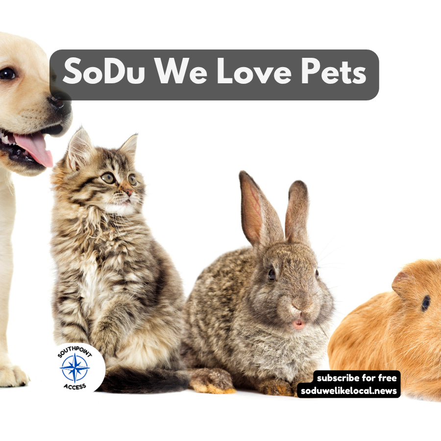 SoDu We Love Pets