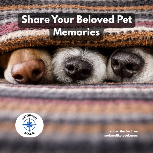 Share Your Beloved Pet Memories