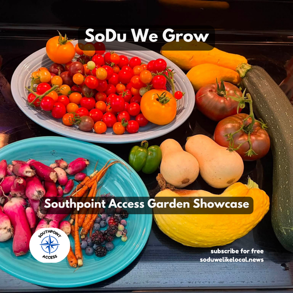 [SoDu We Grow] Lessons from a Year of Benign Neglect