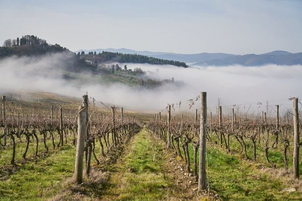 [The Gourmand Next Door] Chianti, What a Fiasco!