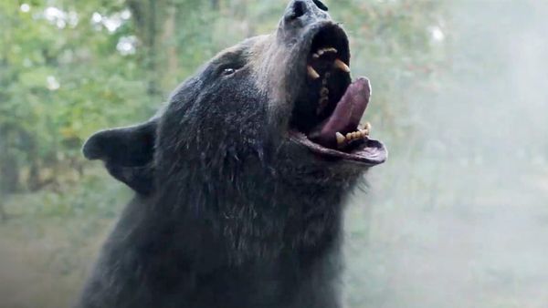 [Nerdspresso] 'Cocaine Bear' and the thrill of a first R-rated movie