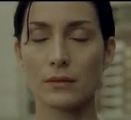 Trinity downloading the pilot program