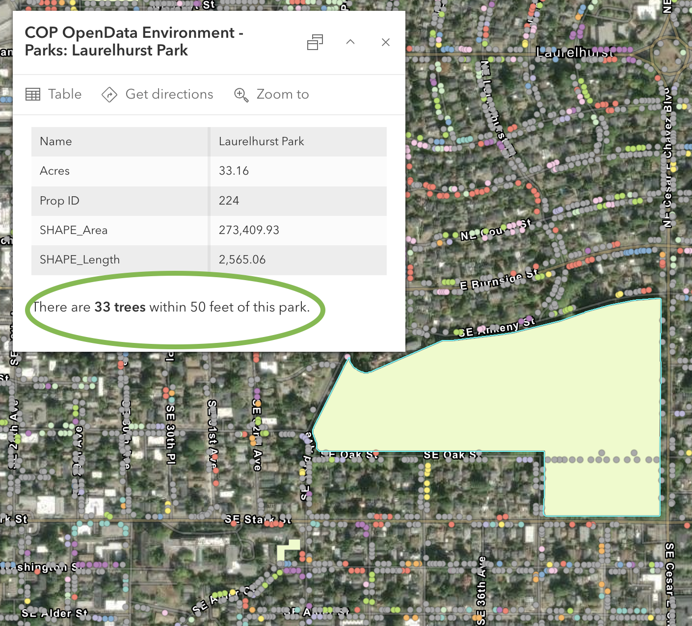 Map interface showing Laurelhurst Park data with an information panel displaying park details (33.16 acres, Property ID 224) and a highlighted note that "There are 33 trees within 50 feet of this park," demonstrating the AI assistant's ability to perform spatial analysis queries through natural language requests.