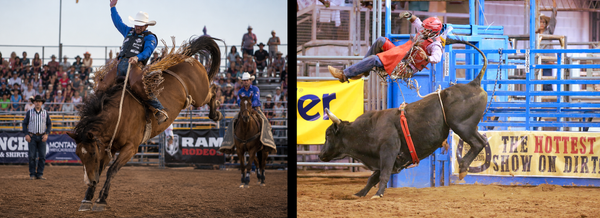 A side-by-side comparison of two rodeo scenes used in an AI-detection quiz: on the left, a cowboy rides a bucking horse in an outdoor arena; on the right, a rider is thrown from a bull in an indoor arena with a sign reading "The Hottest Show on Dirt" visible in the background.