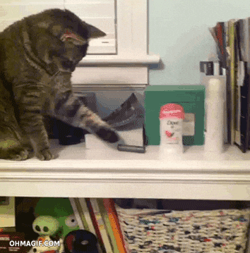 A tabby cat on a white shelf deliberately pushes items off the edge with its paw, mirroring the article's comparison of DeskBot's desk-clearing behavior to a cat knocking things over.