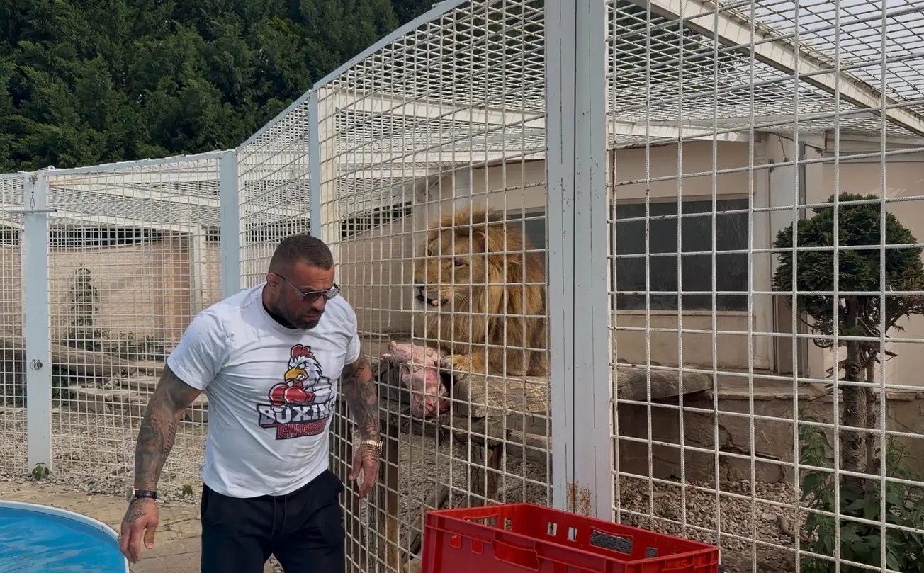 „Kvůli rodině a dětem.” Vémola přijde o svou lvici