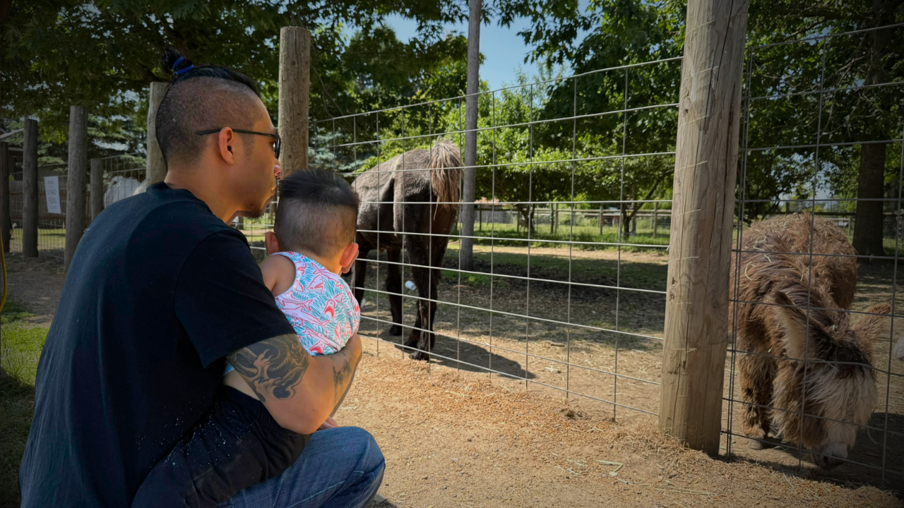 Father holding his young son while they look at farm animals behind a barn fence.