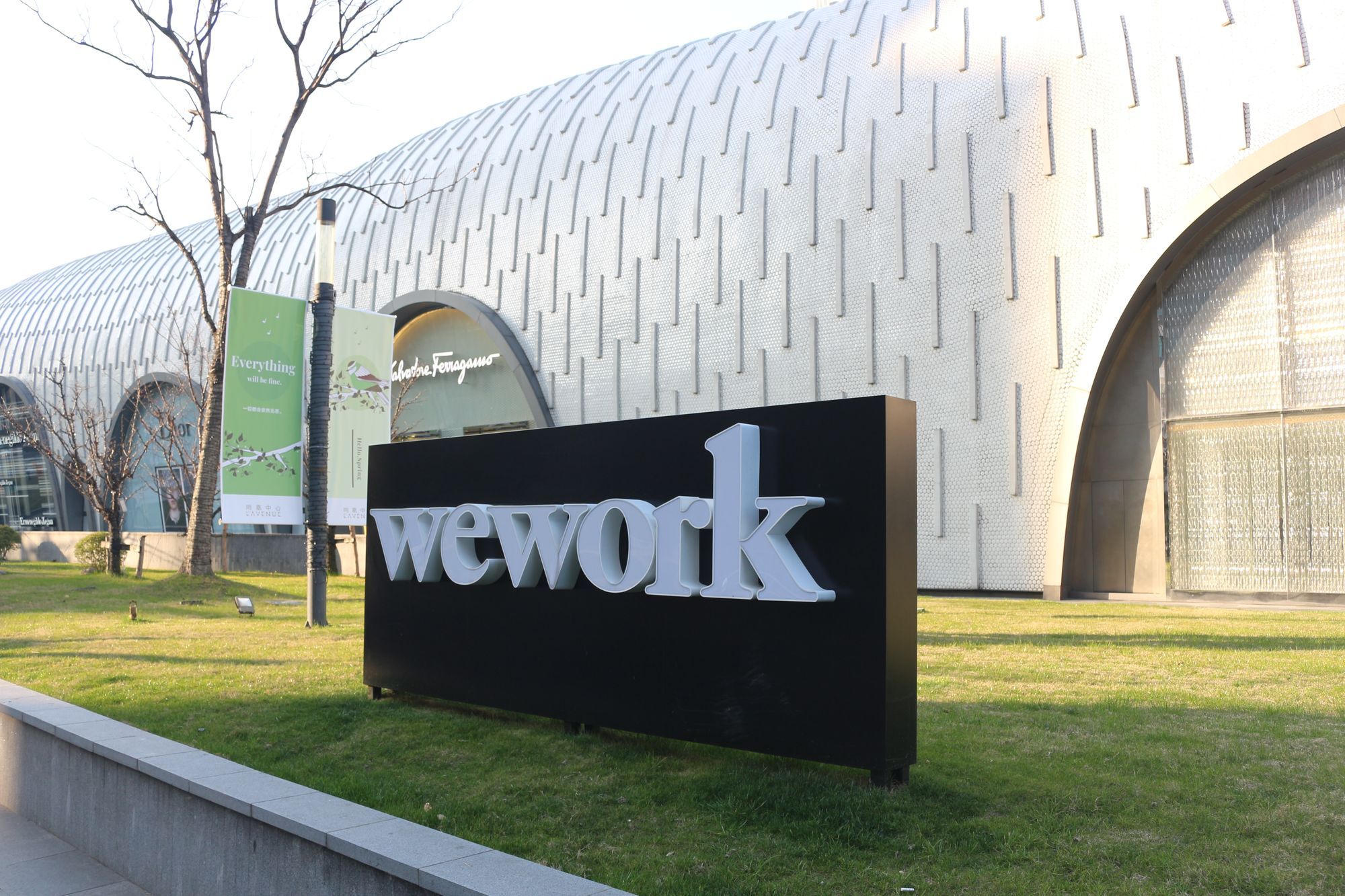 How did WeWork Become WeCrashed?
