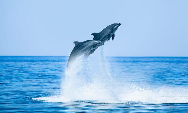 Sailing Croatia: What Freedom Feels Like