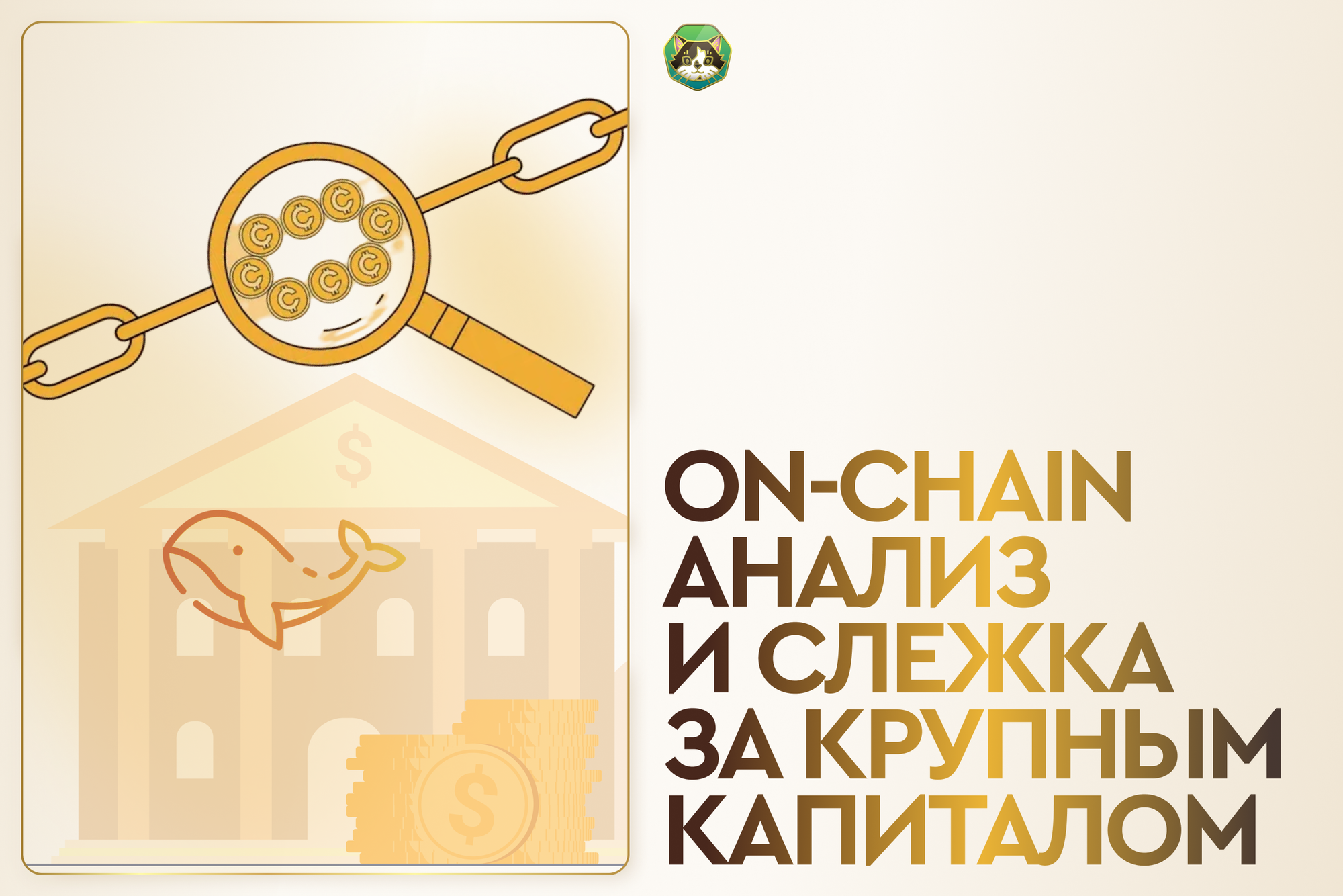 Ончейн анализ и слежка за крупным капиталом