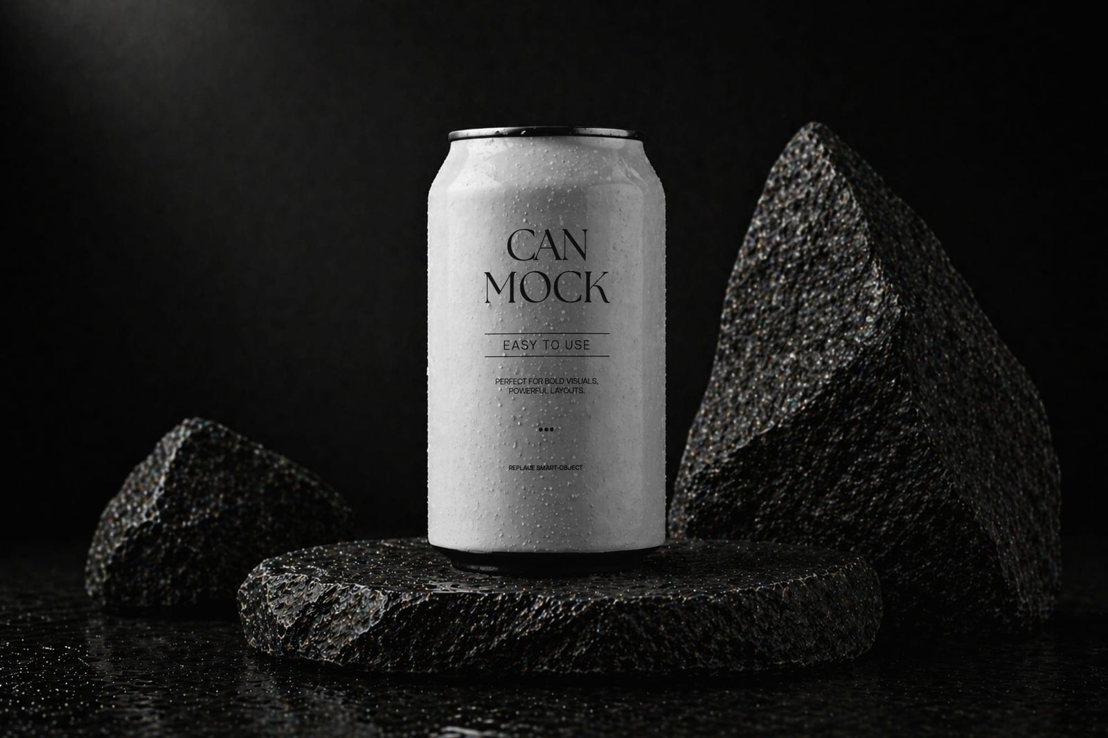 Aluminum Drink Can on Stone Mockup