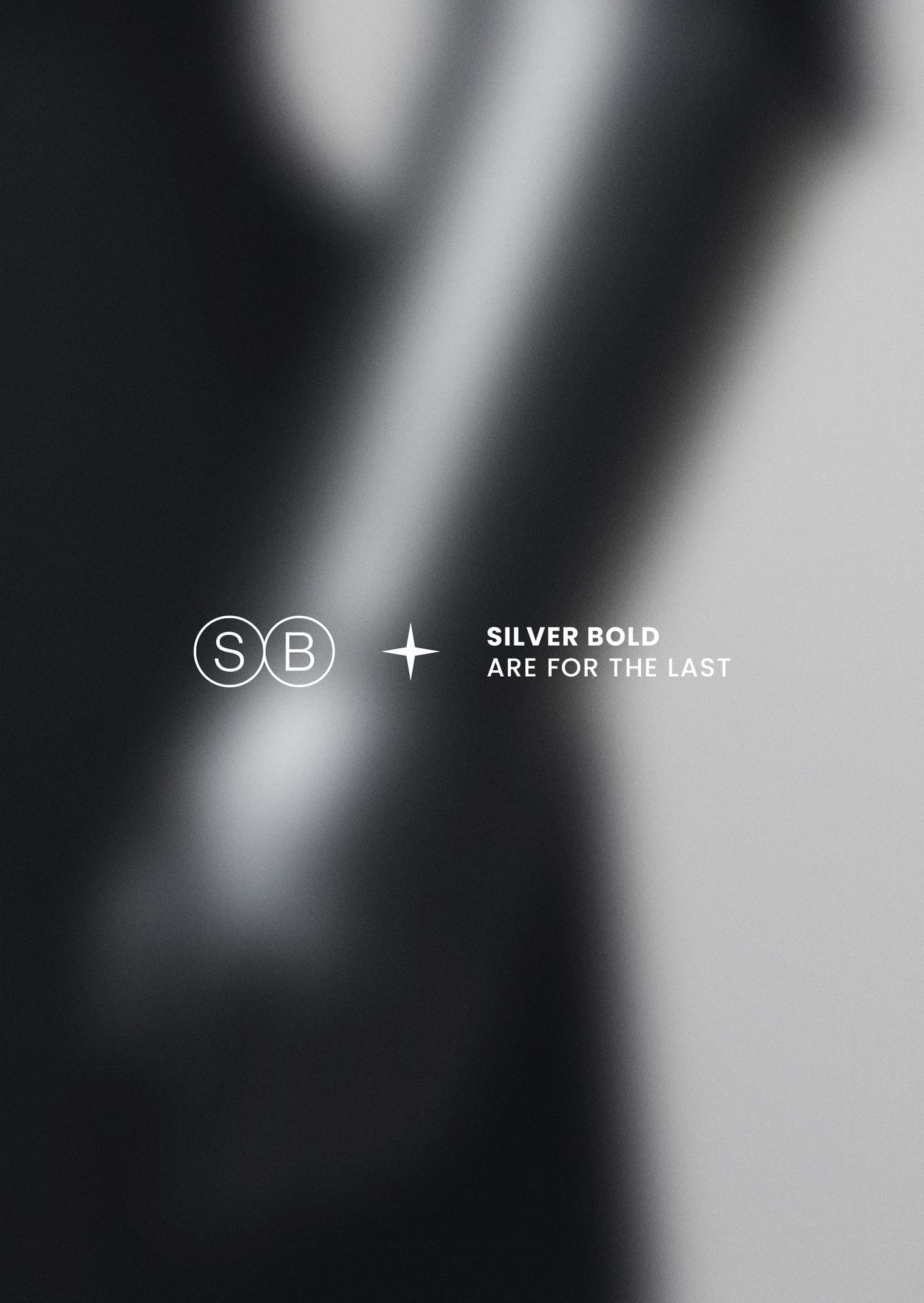 Silver Bold