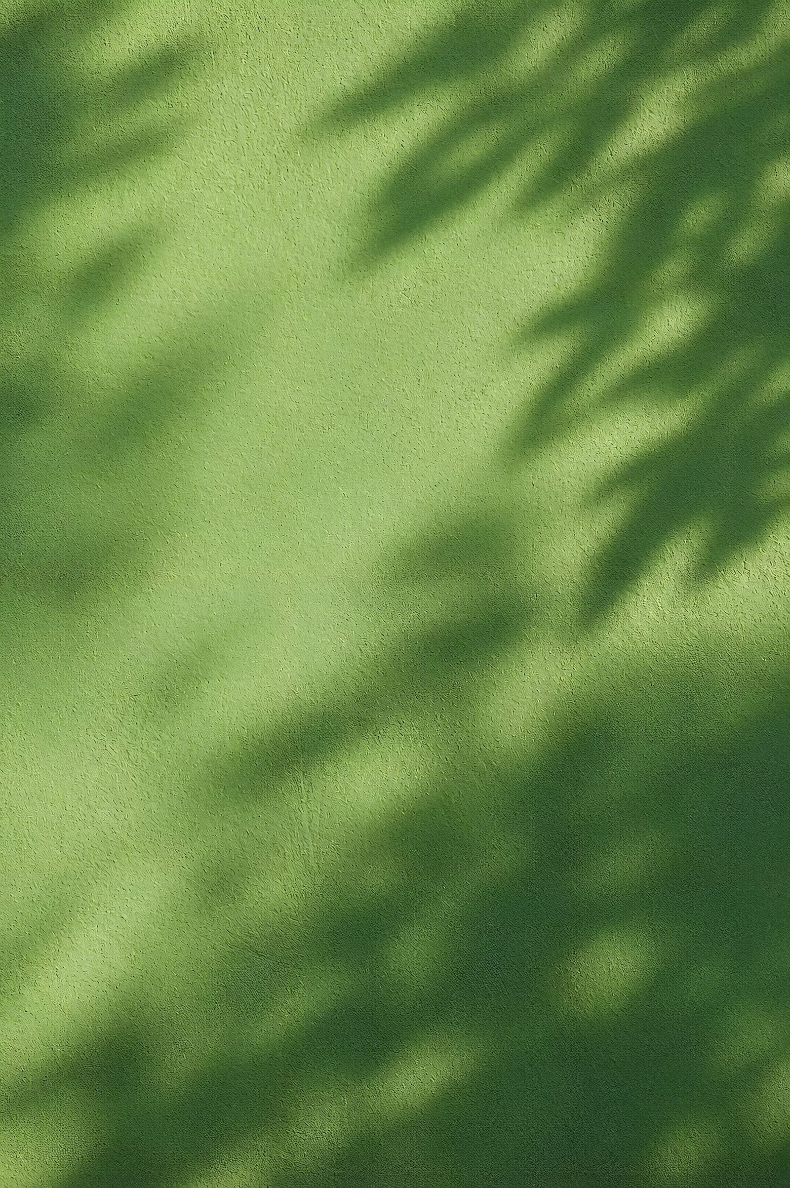 Sunlight And Shadows On Green Wall