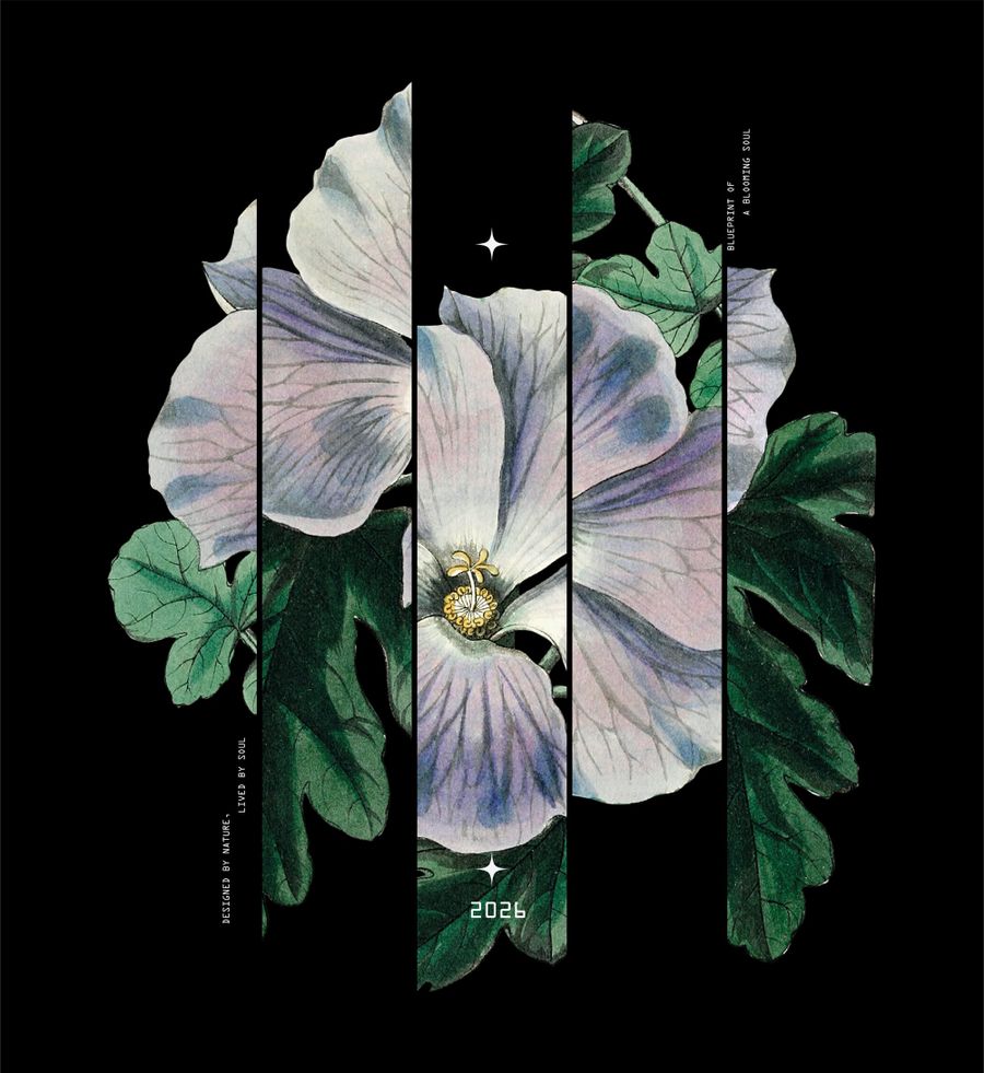 Vintage Botanical Hibiscus Flower Sliced Graphic Art with Blueprint of a Blooming Soul Minimalist Text and Lavender Petal Illustration on Black Background