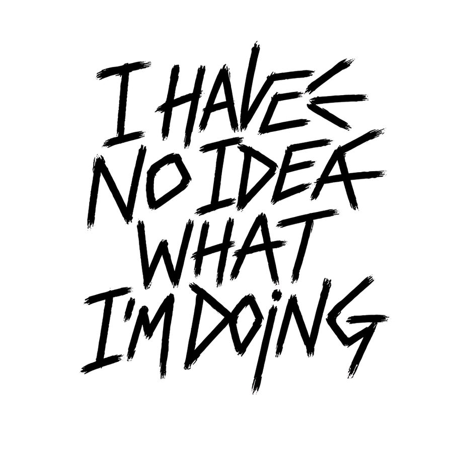 I Have No Idea What I'm Doing