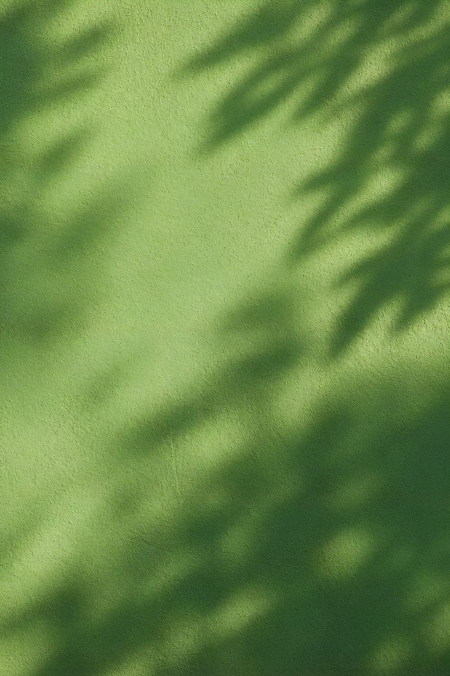 Sunlight And Shadows On Green Wall
