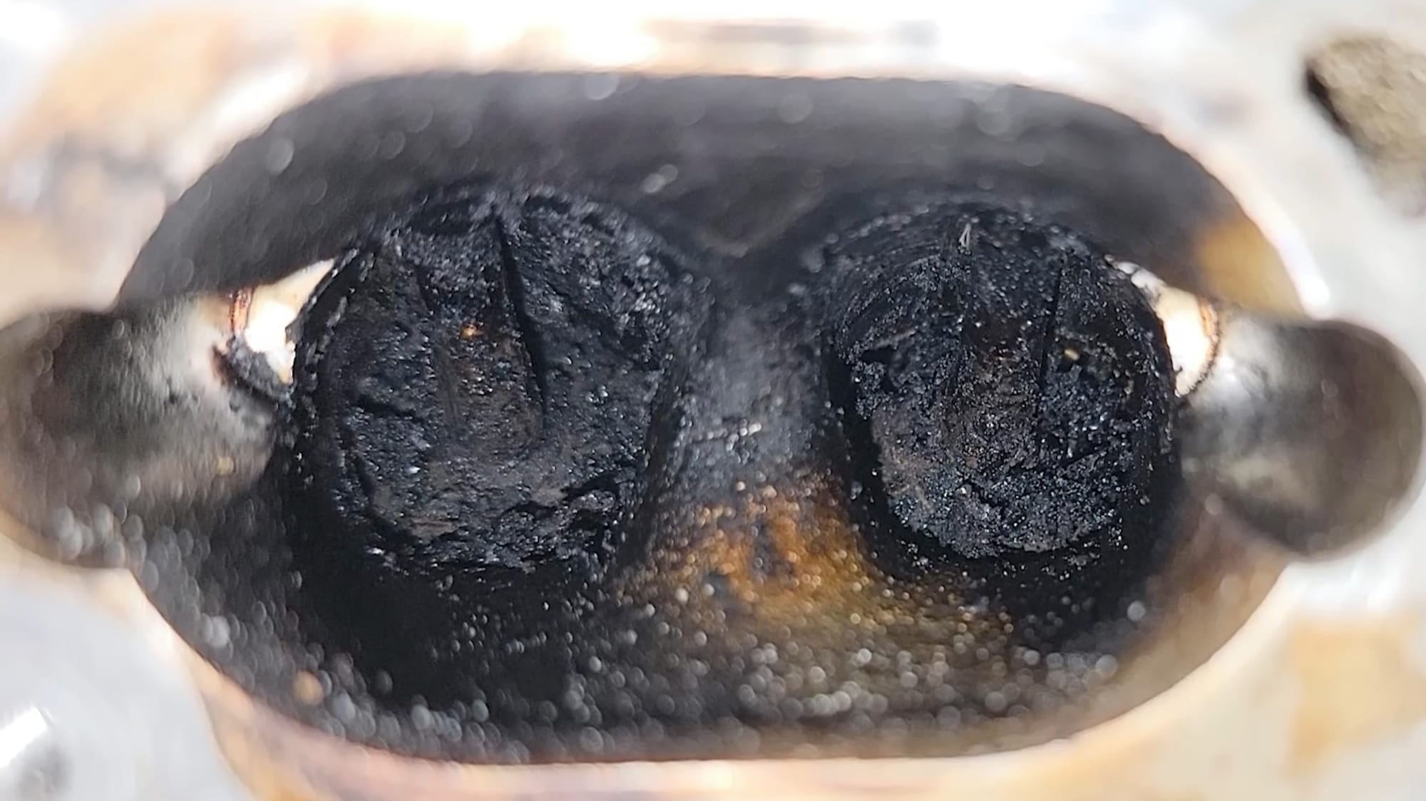 Carbon buildup can become very severe, as DAP shows on this 2006-2014 Volkswagen Jetta 2.5-liter I-4 engine.