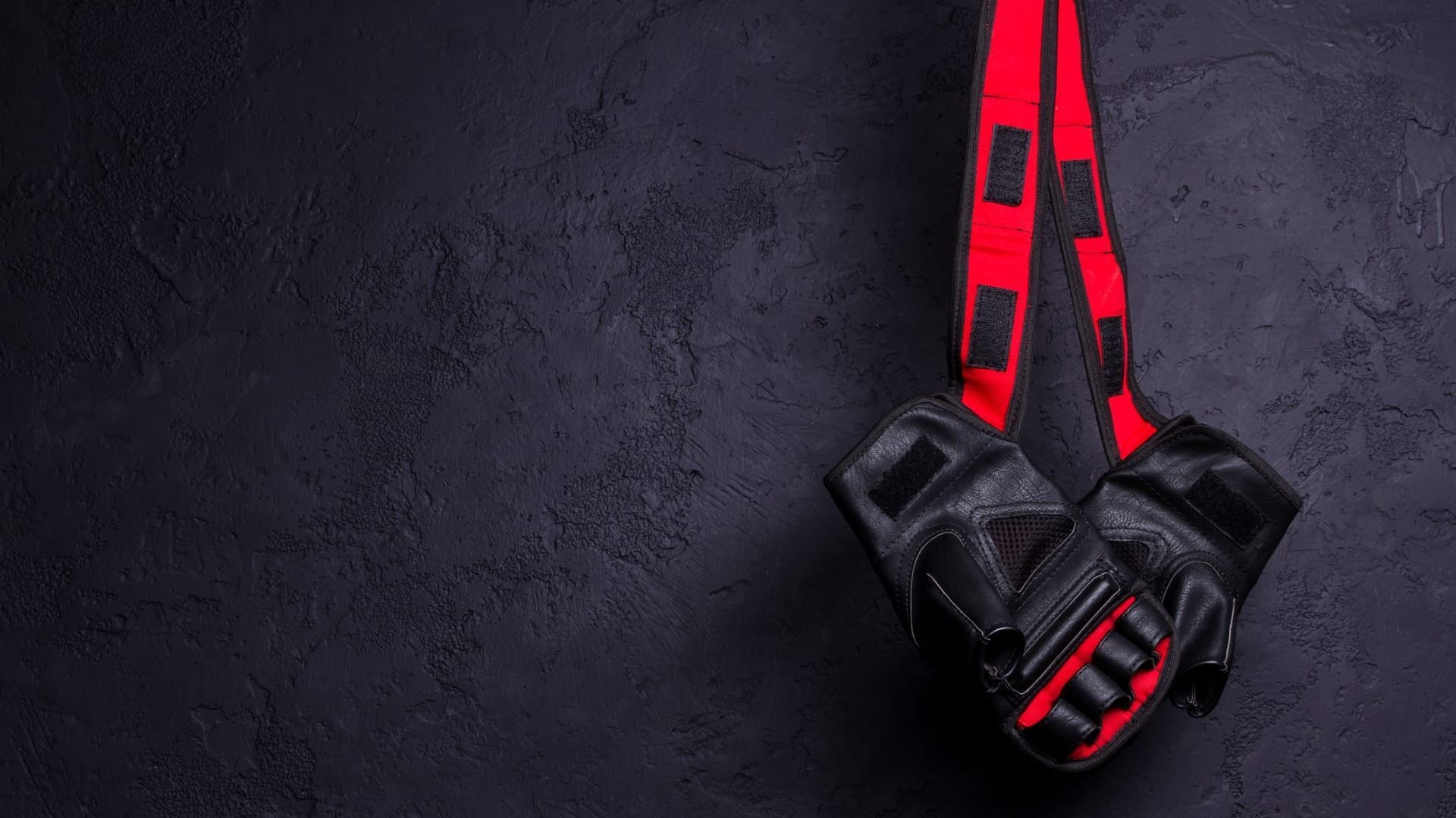 MMA : UFC Fight Night